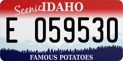 ID license plate E059530