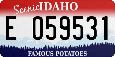 ID license plate E059531