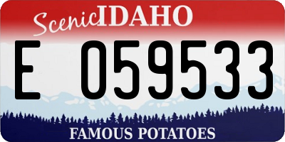 ID license plate E059533
