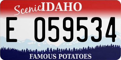 ID license plate E059534