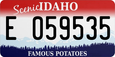 ID license plate E059535