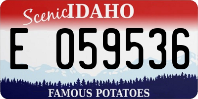 ID license plate E059536