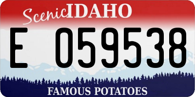 ID license plate E059538