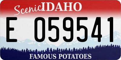 ID license plate E059541