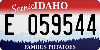 ID license plate E059544