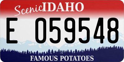 ID license plate E059548