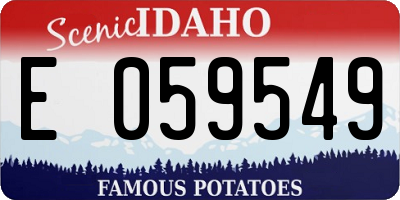 ID license plate E059549
