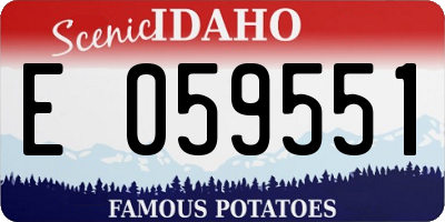 ID license plate E059551