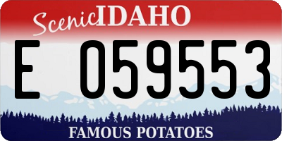 ID license plate E059553