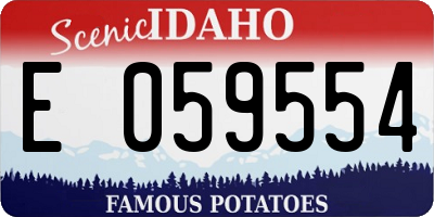 ID license plate E059554