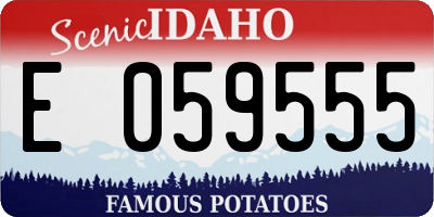 ID license plate E059555