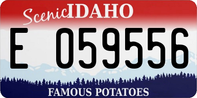 ID license plate E059556