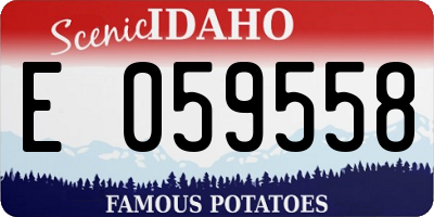 ID license plate E059558