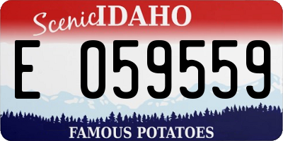 ID license plate E059559