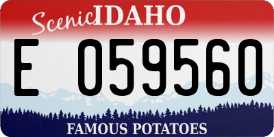 ID license plate E059560