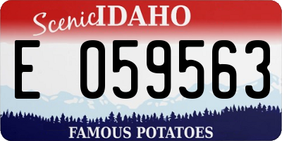 ID license plate E059563