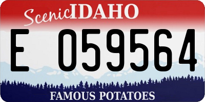 ID license plate E059564