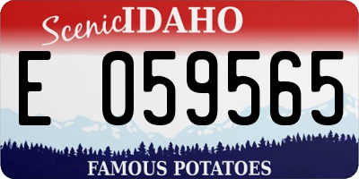 ID license plate E059565