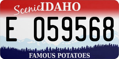 ID license plate E059568