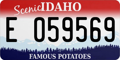 ID license plate E059569