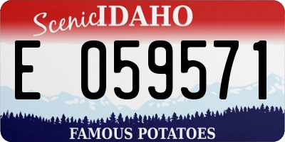 ID license plate E059571