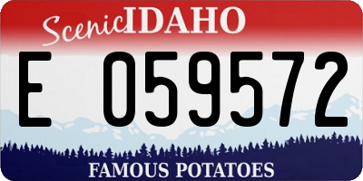 ID license plate E059572