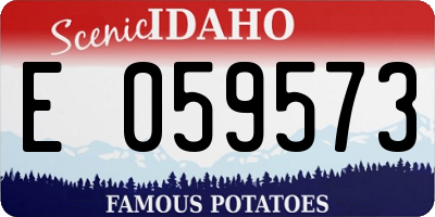 ID license plate E059573