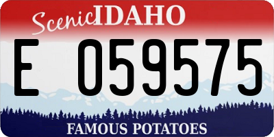 ID license plate E059575