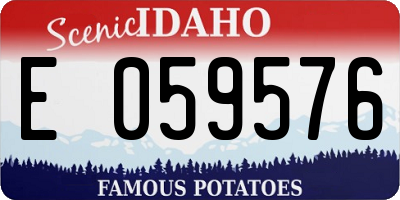 ID license plate E059576
