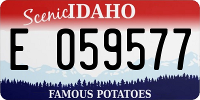 ID license plate E059577