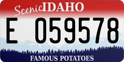 ID license plate E059578