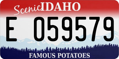 ID license plate E059579