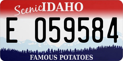 ID license plate E059584