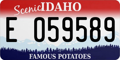 ID license plate E059589
