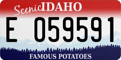 ID license plate E059591