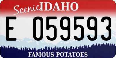 ID license plate E059593