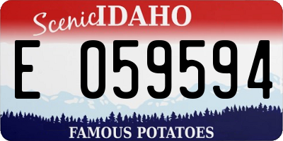 ID license plate E059594