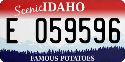 ID license plate E059596