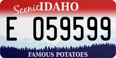 ID license plate E059599