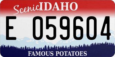 ID license plate E059604