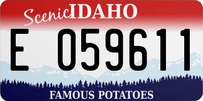 ID license plate E059611