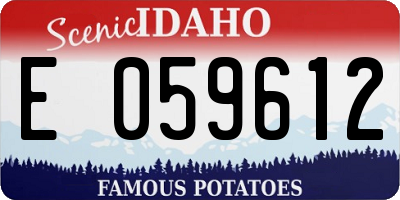 ID license plate E059612