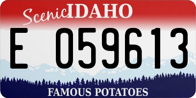 ID license plate E059613