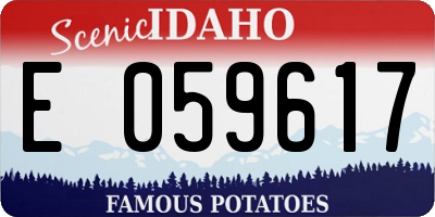 ID license plate E059617