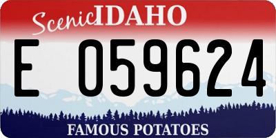 ID license plate E059624
