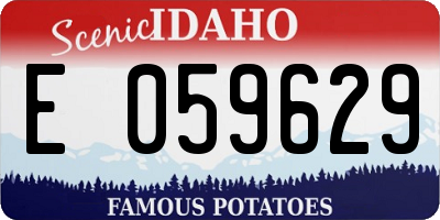 ID license plate E059629