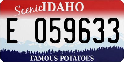ID license plate E059633