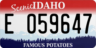 ID license plate E059647