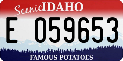 ID license plate E059653