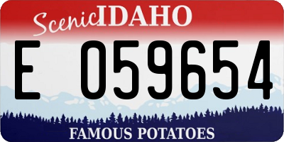 ID license plate E059654